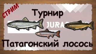 Русская Рыбалка 3.99 Турнир Патагонский лосось - стрим 2021.04.27 Jurassic2