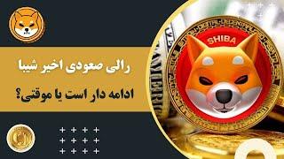 رالی صعودی اخیر شیبا ادامه‌دار است یا موقتی؟ Shiba Inu SHIB