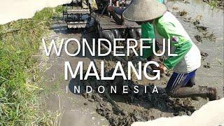 Malang city is one of the tourism cities in Indonesia besides that it has large agricultural land