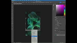 Crop an Image in Photoshop