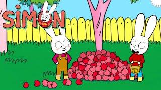 Boris the Farmer’s Son  Simon  2 hours COMPILATION Season 3 Full episodes  Cartoons for Kids