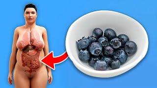 🫐 7 überraschende Effekte die der Verzehr von Heidelbeeren auf die Gesundheit deines Körpers hat 