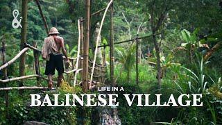 Life in a Remote Balinese Village   The Sideman Valley