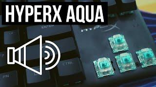 HIGHER QUALITY HyperX Aqua Switches Typing Sounds **NO TALKING**