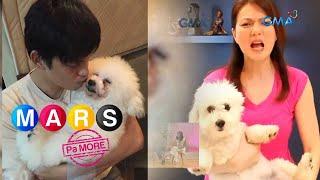 Kilalanin ang 11 fur babies nina Zoren Legaspi at Carmina Villarroel  Mars Pa More