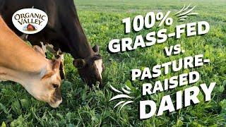 Is 100% Grass-fed milk different than Pasture Raised milk?  Ask Organic Valley