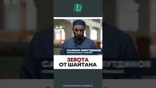 Зевота от чего происходит