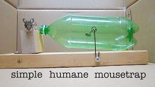 How to Make a ● Simple Catch and Release Bottle Mousetrap  that works  