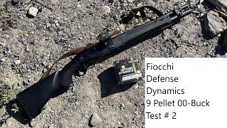 Fiocchi Defense Dynamics 9 Pellet Buck Patterning - Test #2 Beretta A300 Ultima Patrol