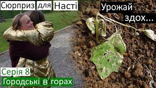 Серія 8  Загинули мої огірки  Приїхала Настіна подруга  лікую зуби  де тонко-там і рветься 