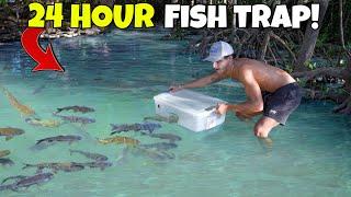 24 HOUR Fish Trap Catches TONS Of FISH