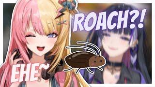 kotoka pranks meloco with fake roaches volume warning【 NIJISANJI EN  Kotoka Torahime 】