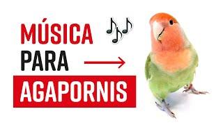  MÚSICA para PÁJAROS INSEPARABLES 