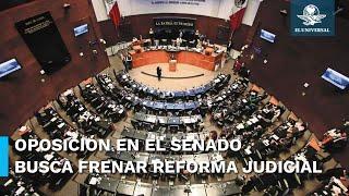 Los 43 del Senado el último muro contra la reforma judicial #EnPortada