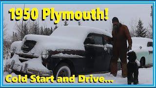 Will it Go? 1950 Plymouth Cold Start and Drive Includes Collision