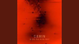 Sahin feat. DJ RAY