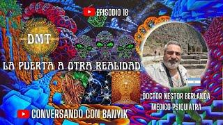 DMT LA PUERTA A OTRA REALIDAD   -    Entrevista  a  Nestor Berlanda