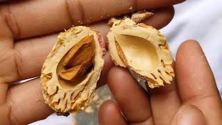 How to crack open peach pits