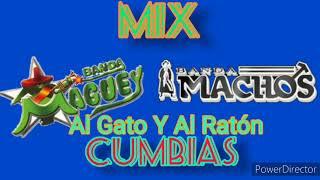 BANDA MACHOS VS BANDA MAGUEY MIX CUMBIAS