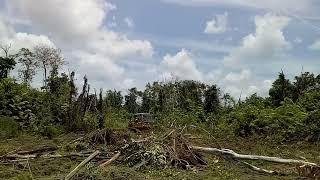 Proses pembukaan lahan tebu