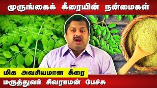 The most essential spinach  Dr. Sivaraman speech in Tamil Moringa benefits in Tamil Murunga Keerai