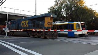 BNSF Manifest Train With CSX Locomotive Meets SACRT 217 and 239 at W Street Railroad Crossing