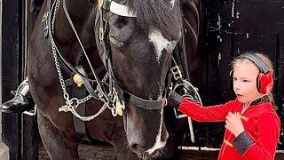 Tears of Joy Heartfelt and Hilarious Moments with the Regal Horse at Horse Guards**