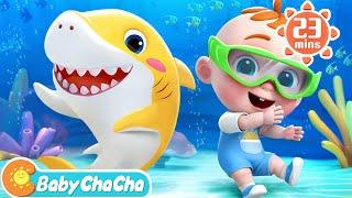 Baby Shark Family Version  Baby Shark Doo Doo Doo Dance + Baby ChaCha Nursery Rhymes & Kids Songs