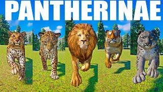 Pantherinae Category Speed Races in Planet Zoo included Lion jaguar Tiger Leopard