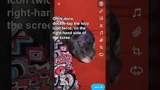 How To Loop Snaps On Snapchat iPhone #trendingshorts #tutorial