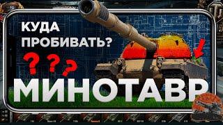 Куда пробивать Минотавра?  ВСЕ УЯЗВИМЫЕ ЗОНЫ ПТ 10