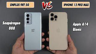 Oneplus 9RT 5G vs iPhone 12 Pro max  SpeedTest and Camera comparison