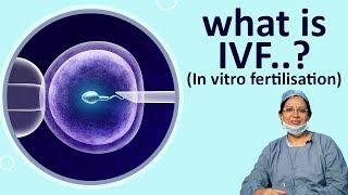 What is ivf Treatment- Dr Padmaja fertility centre karimnagar