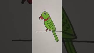 parrot in cage drawing