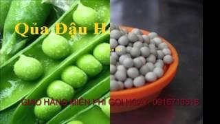 Đậu Hà Lan Giá Rẻ Nhất Hà Nội