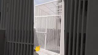 iron pipe gate #trending #ytshorts #vairalshort