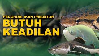 APAKAH MELARANG IKAN INVASIF BISA LINDUNGI IKAN ENDEMIK?