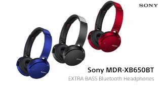 MDR-XB650BT EXTRA BASS Wireless Headphones with Bluetooth