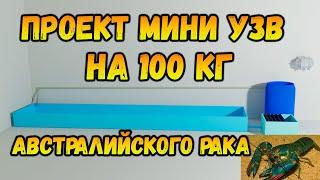 Проект мини УЗВ до 100 кг австралийского рака