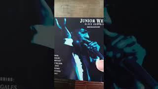 Junior Wells - Blues Brothers - Featuring Colin James_Popa Chubby_Bernard Allison_ #bluesrock