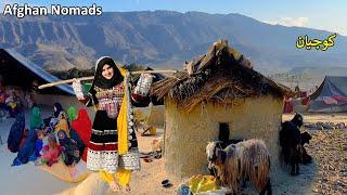 Daily life of Afghan nomads  Laghman  کوچیان