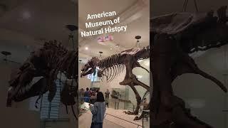 American Museum of Natural History.. fun day #اكسبلور #newjersey #newyork #travel # #share #happy