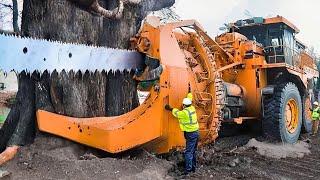 Amazing modern big wood cutting equipment I never seen before. Incredible firewood processor machine