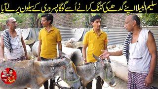 Saleem Albela came to Goga Pasroori to have the Donkeys hair cut Funny Video