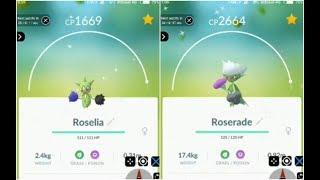 Evolving SHINY ROSELIA To SHINY ROSERADE - Pokemon Go Hack Level 40