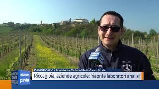 Riccagioia piccoli produttori vitivinicoli Regione riapra subito laboratori analisi