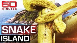 The deadliest place on earth Snake Island  60 Minutes Australia