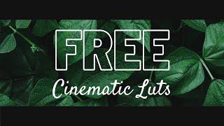 Free Cinematic Luts 2020  Royale Lut Pack  Creative Royale