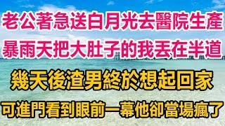 老公著急送白月光去醫院生產，暴雨天把同樣大肚子的我丟在半道，幾天後渣男終於想起回家，可進門看到眼前一幕他卻當場瘋了#情感故事 #生活經驗 #為人處世 #两性情感 #家庭 #家庭故事