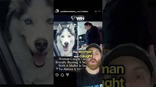 Vegan vs Woman who did WHAT to a husky?